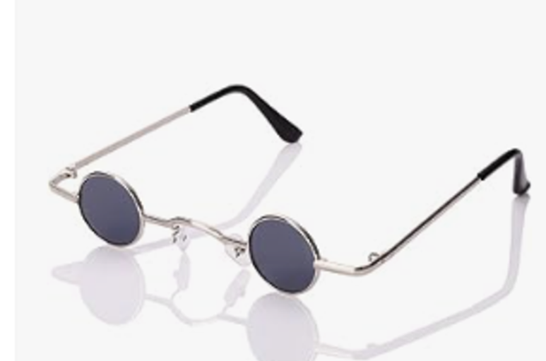 Punk Polarized Sunglasses, Small Sunglasses